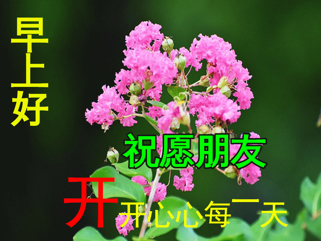 2月27日特别漂亮的早安祝福动态图片大全 鲜花早晨好动态图片大全 腾讯新闻