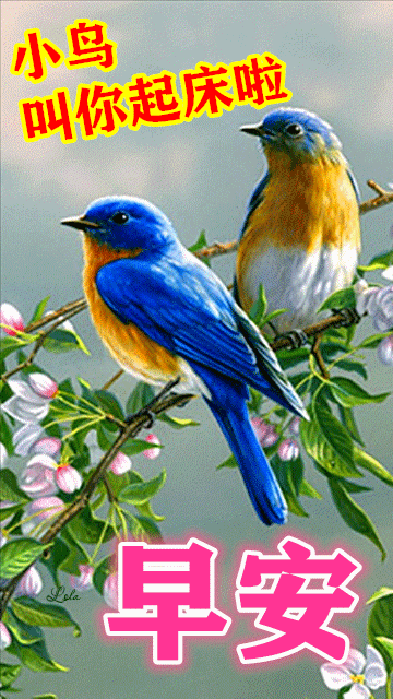 早安吉祥人生是船需要扬起风帆才能起航早安