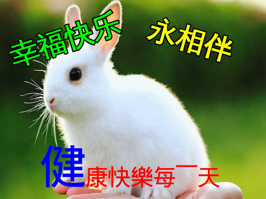 问候不在遥远祝福不分时间无论天涯海角早上好
