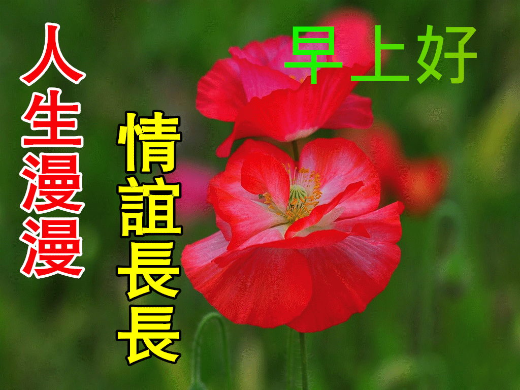 8张非常漂亮春日早上好表情图片带祝福语免打字自然风景早上好祝福语