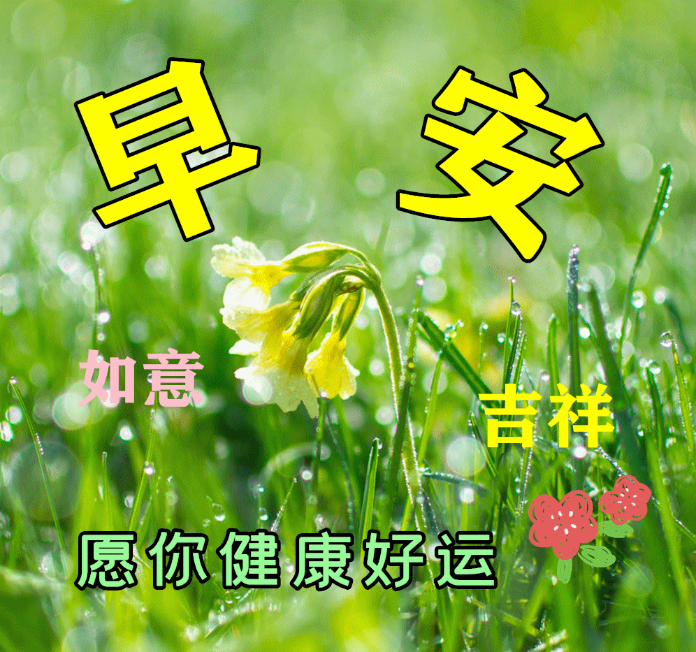 2022年3月07日清晨早上好问候祝福动态表情图片最新早安问候祝福图片