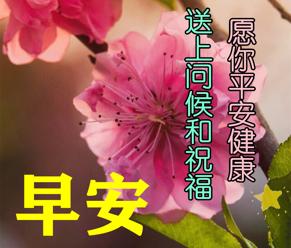 好看的清晨早安问候祝福语图片精选,最漂亮早上好动态表情图片