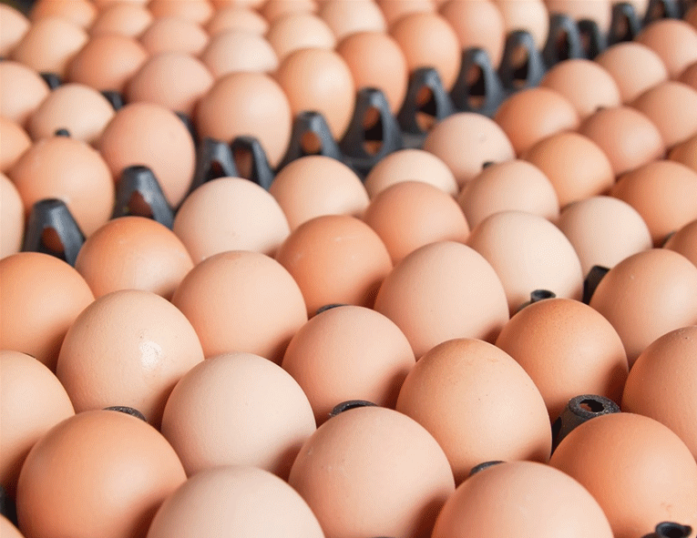 鲜鸡蛋16.5元秒杀劲爆来袭!严苛检测,安全,营养～德青源全网底价