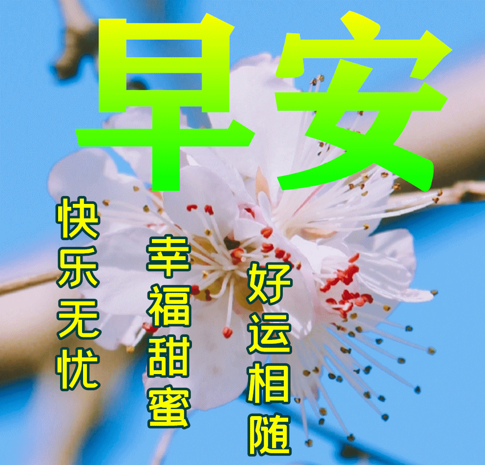 给女朋友的早安情话_早安套路情话_问候女朋友早安情话