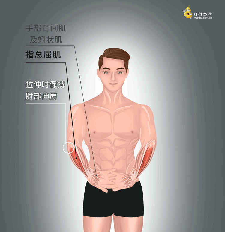 手指麻木腕部酸痛就使这几招管用