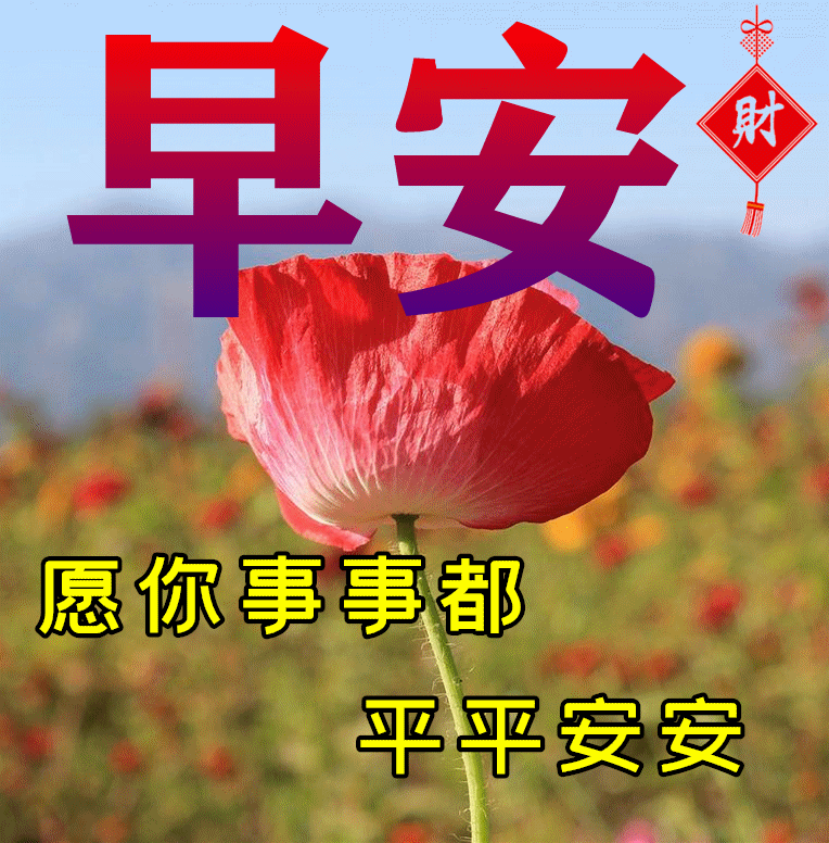 新的一天早上好春日祝福美句,免打字聊天问候早安快乐精美动态表情包