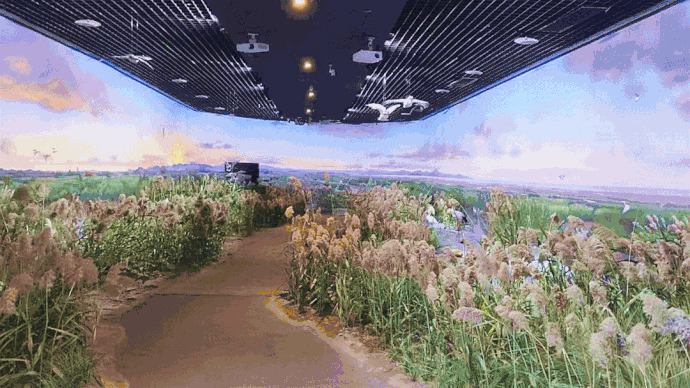 每周末对外试开放闽江河口湿地博物馆全新升级