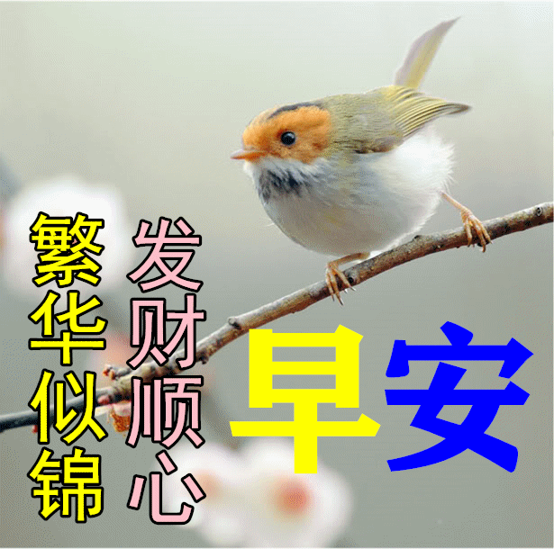 4月19日清晨最新早上好动态美图大全,早上好祝福语句子