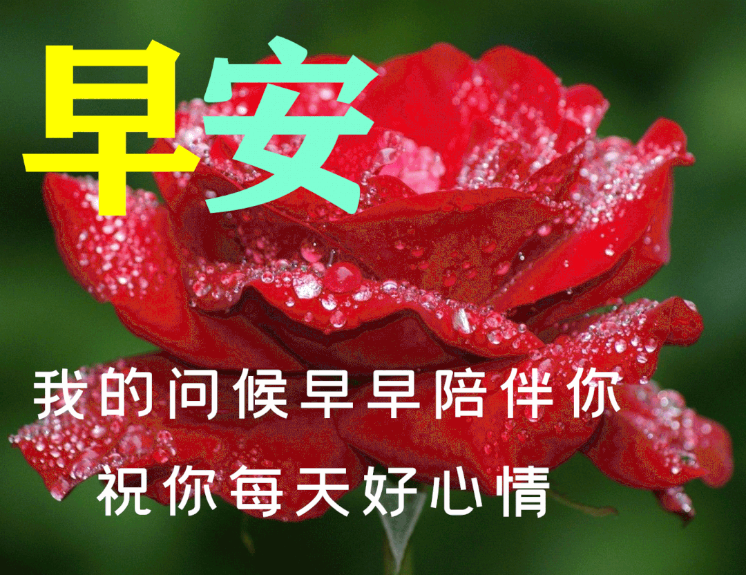 2022非常时期疫情期间早安祝福语短信大全 周四春季早上好问候动态