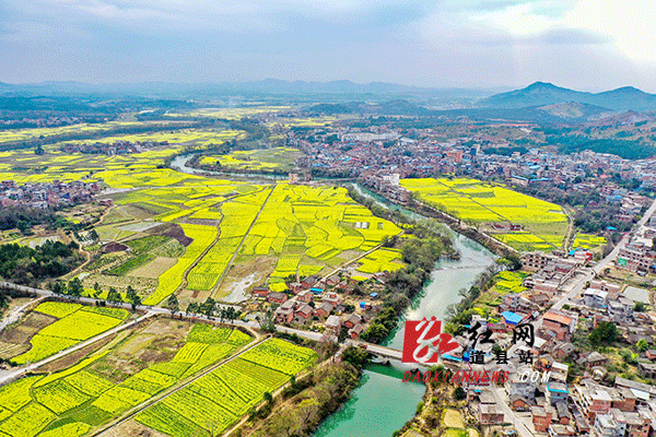 道县蚣坝镇:抓好粮食生产 扎牢百姓"米袋子"