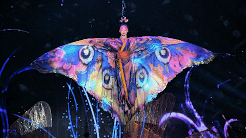 冲破迷雾,化茧成蝶!飞天少女在线炫发量_腾讯新闻