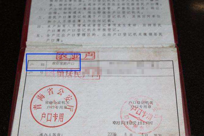 农村人口怎样购买社保_社保(2)