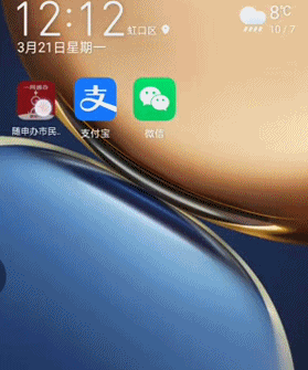 长按"随申办"app图标,你将看到快捷菜单上的三个功能:随申码,乘公交