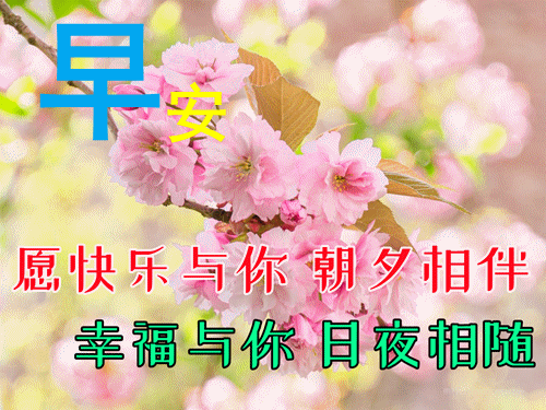 春天清晨阳光唯美早上好问候祝福图片精选朋友圈早上好图片带字集锦