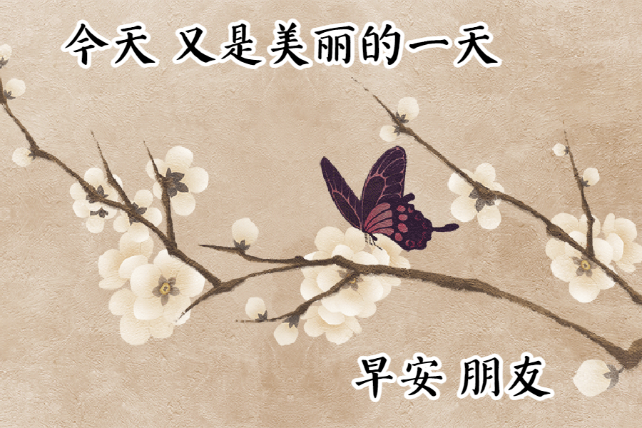 温馨早安问候祝福表情图片清晨早安问候动态图片带字