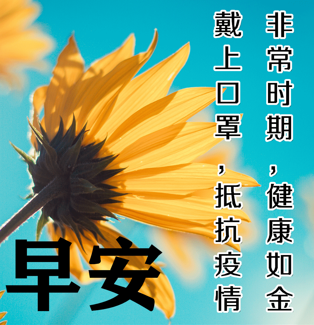 新的一天早上好温馨祝福语精美语录春天漂亮的早安问候风景图片