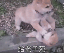 医护人员很辛苦看你们尬舞更命苦