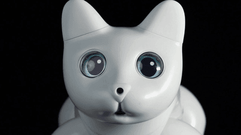 世界首款ai仿生机器猫除了会卖萌还可以用来学代码