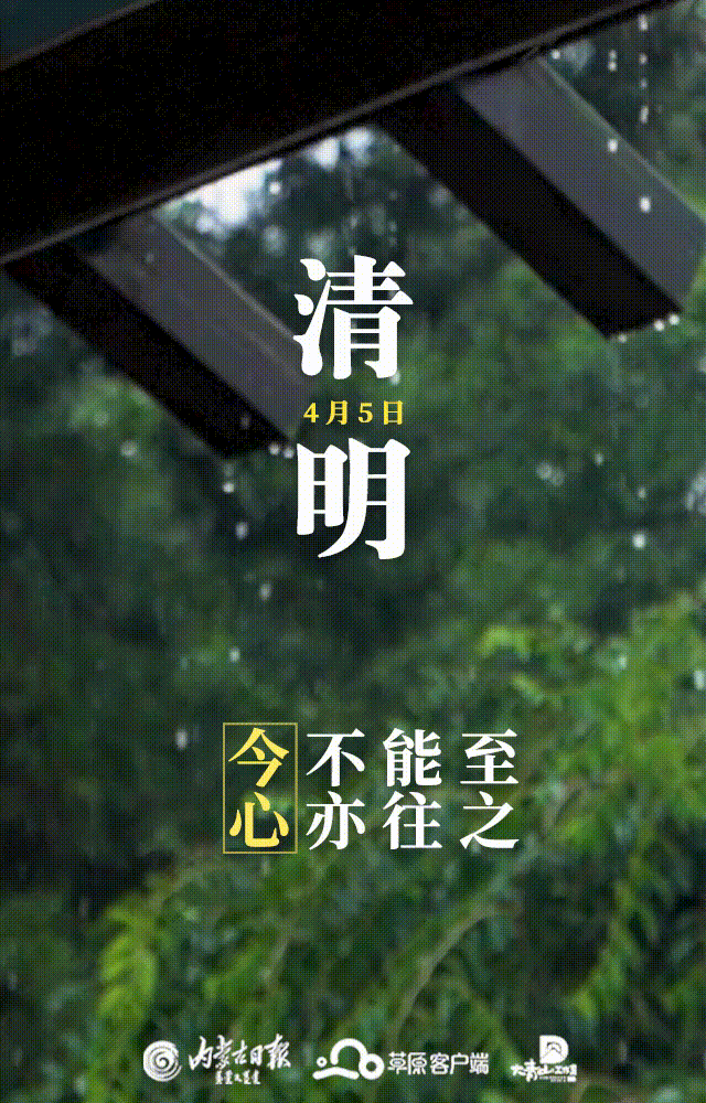 清明|梨花风起正清明 春风落日寄哀思