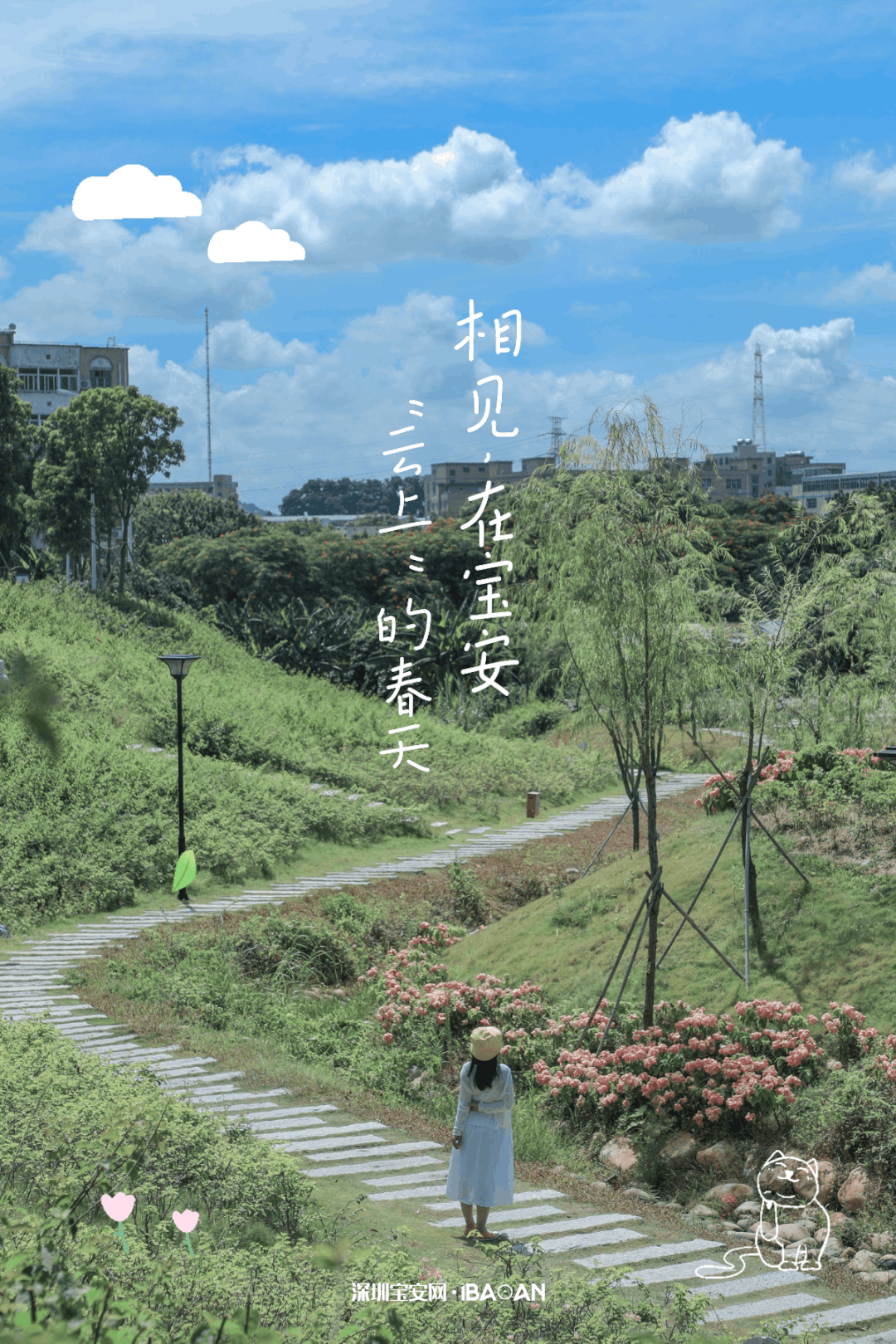 相见在宝安云上的春天