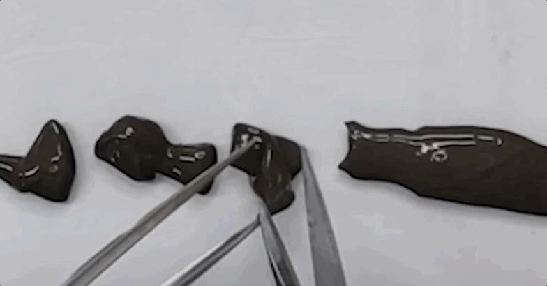 大只500_大只500注册官方平台地址-丫丫小说网