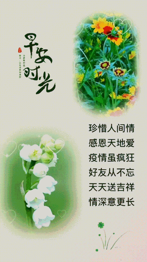 最新版早上好2022表情图片漂亮好看 春日早安暖心问候祝福阳光图片