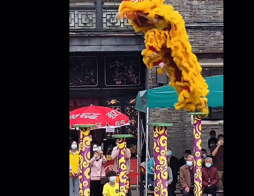 也能憨态可掬可可爱爱宛如一只大猫而广东佛山正是南狮的起源地自古狮