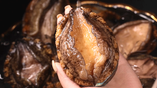 十年榜"鲍鱼鸡煲",火到明星都往这店跑!