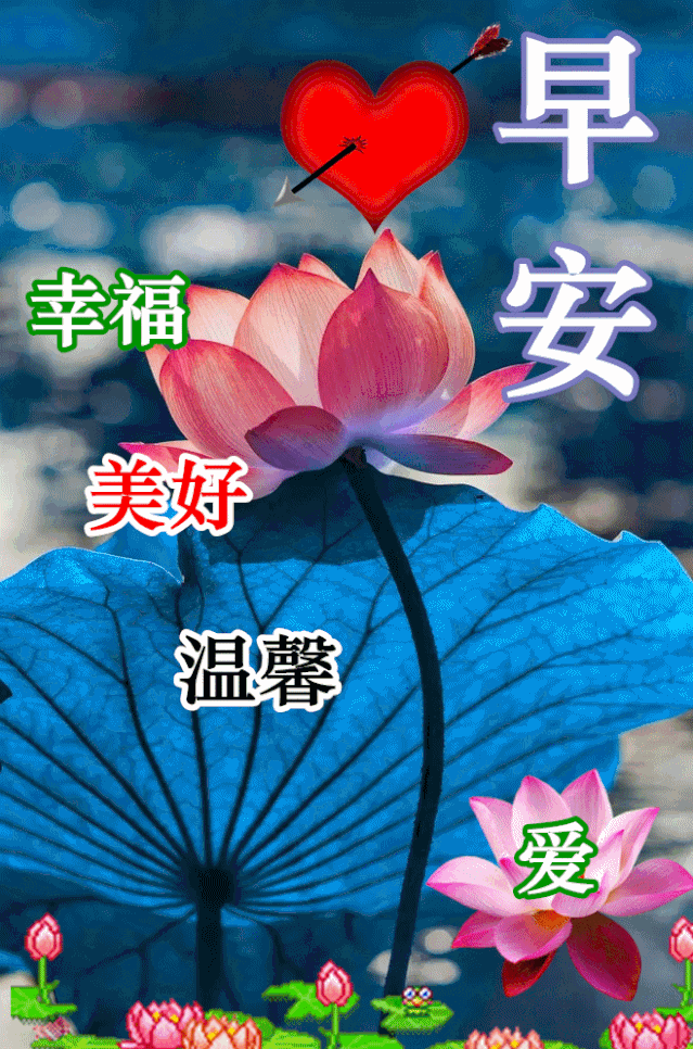 对别人有爱心,祝你每天都开心,早安!_腾讯新闻