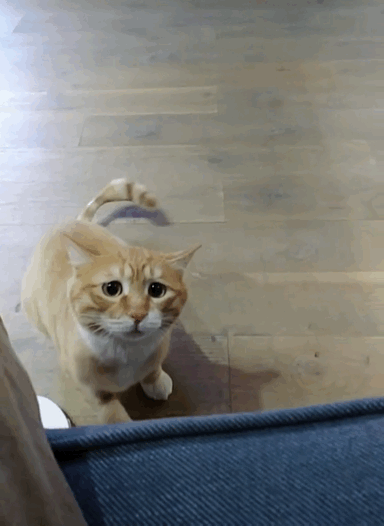 384_526竖版 竖屏gif 动态图 动图