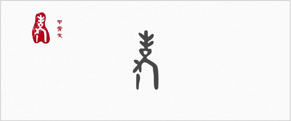 敬老爱老,首先要把这个字学好