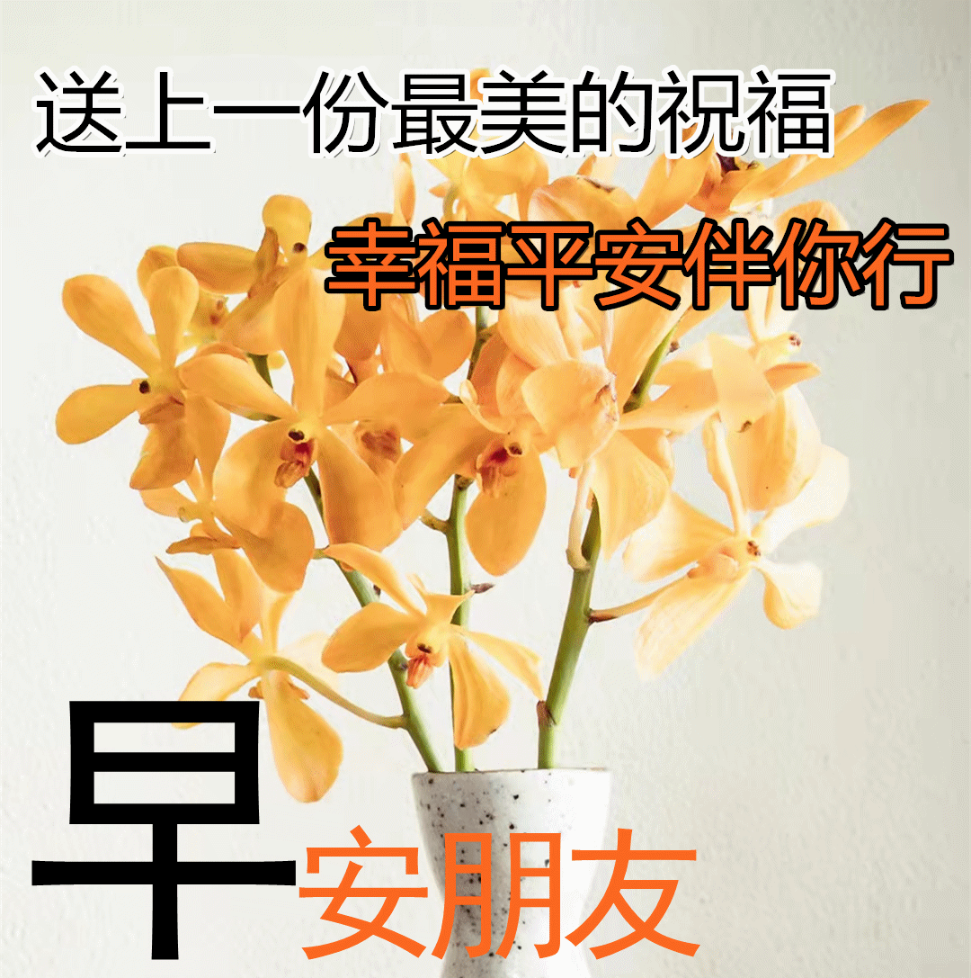 新版温馨早安问候祝福语句,2022微信最新早安动画表情动态图片带字