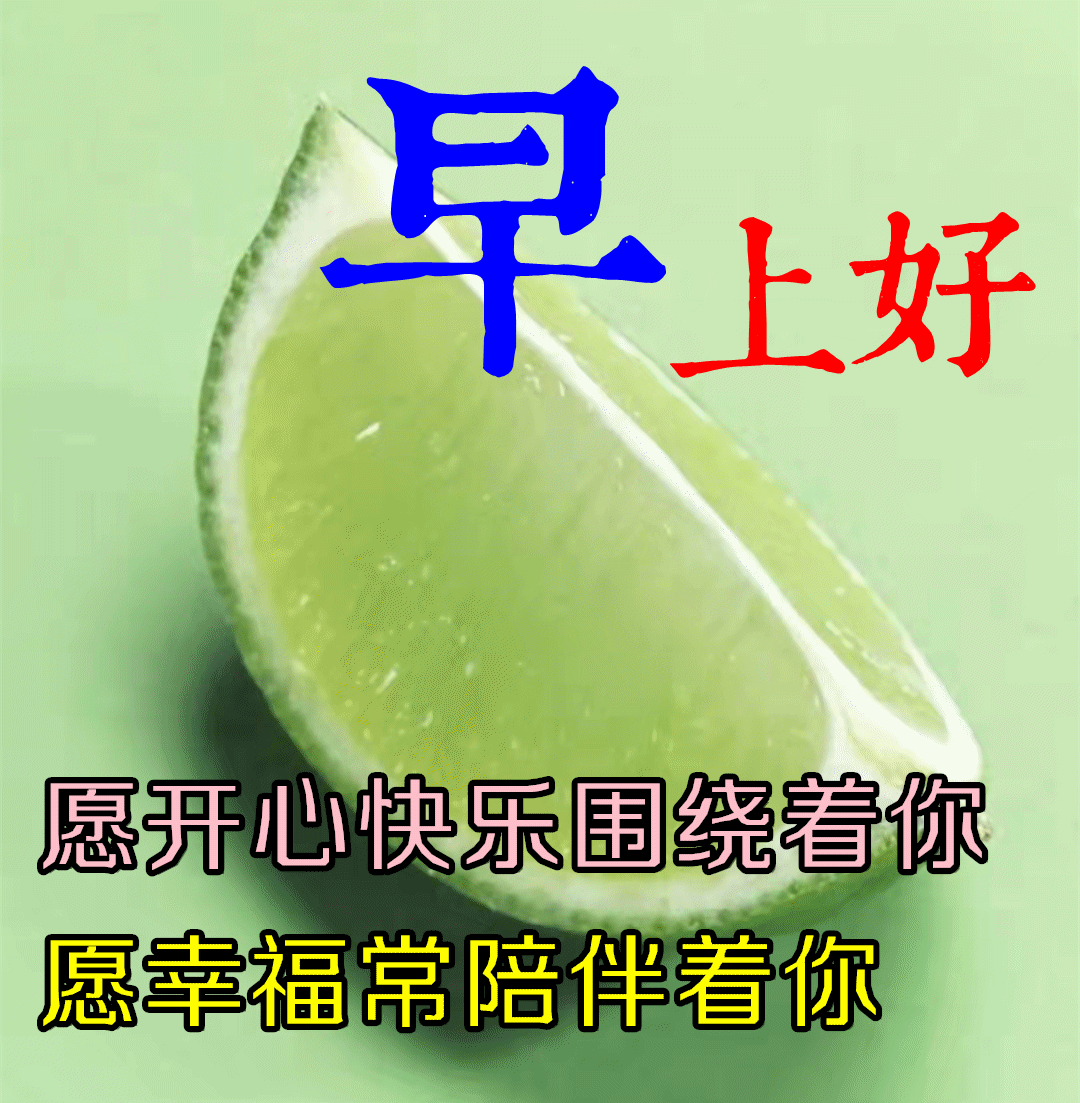 温暖唯美的早上好最新表情包最新问候大家早上好祝福图片精选