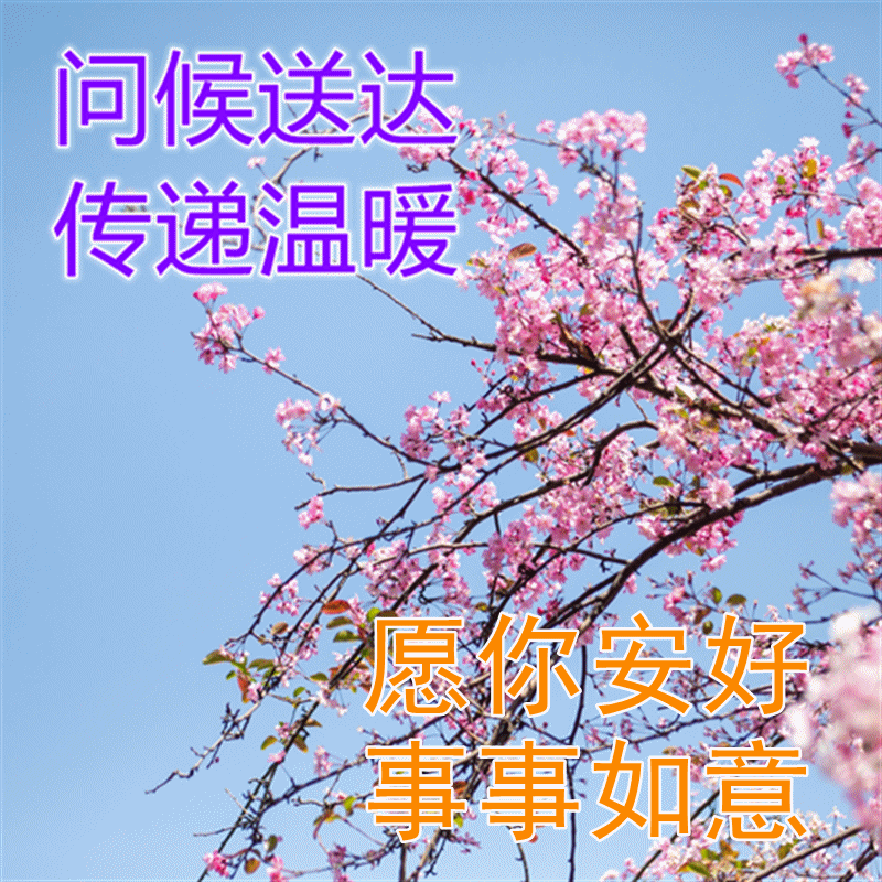 2022年4月26日特漂亮最新版早安动态图片 早上好祝福语句子!