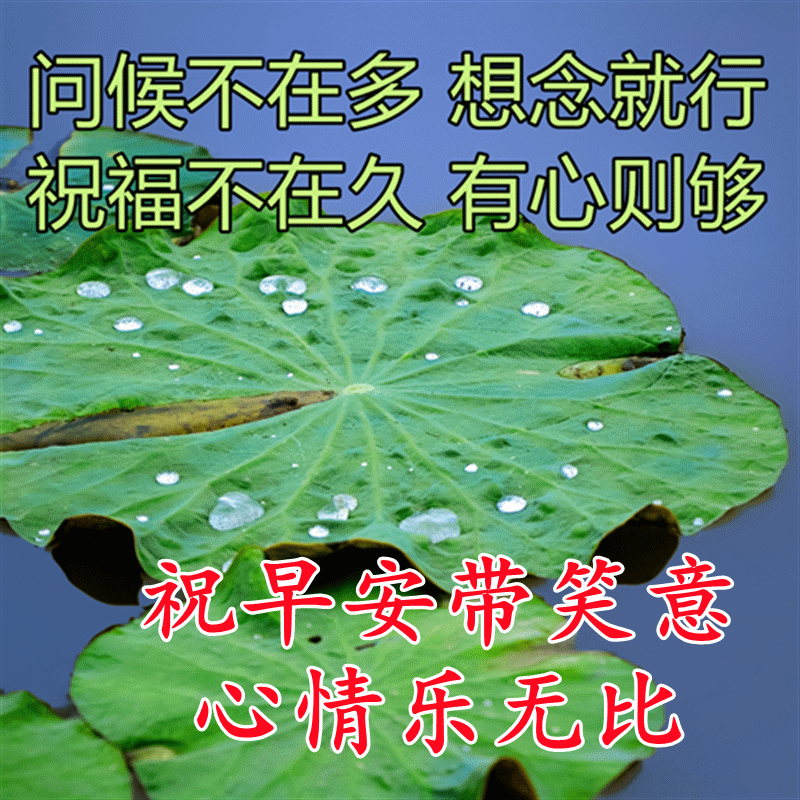 2022深情的祝福早上好动态图片 大家早安动态表情包