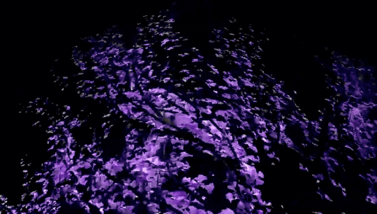 华为mate xs 2,并不完美