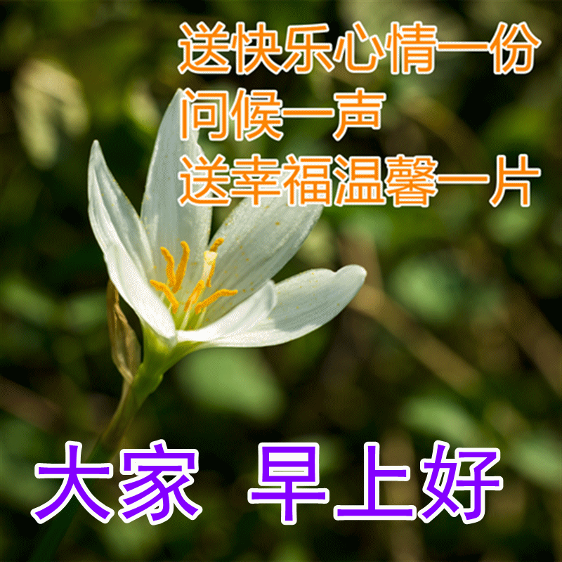 五一假期快乐心情的早安动态表情包 真诚关怀早上好动态祝福图片