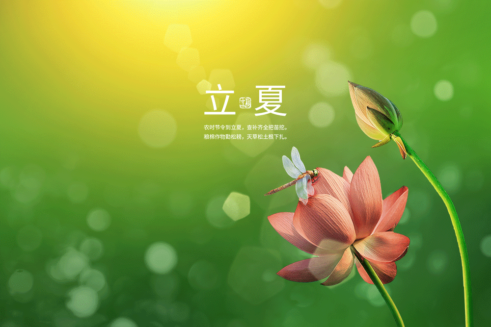 立夏秤人是希望上天能给他们带来好运