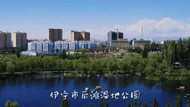 伊宁利于优化的网站 腾讯网