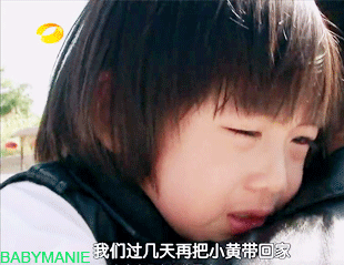 310_239gif 动态图 动图