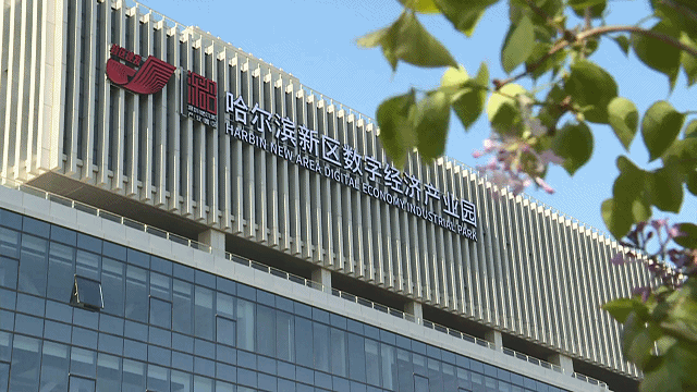 落户哈尔滨新区深哈产业园鲲鹏升腾黑龙江要和华为搞大事情