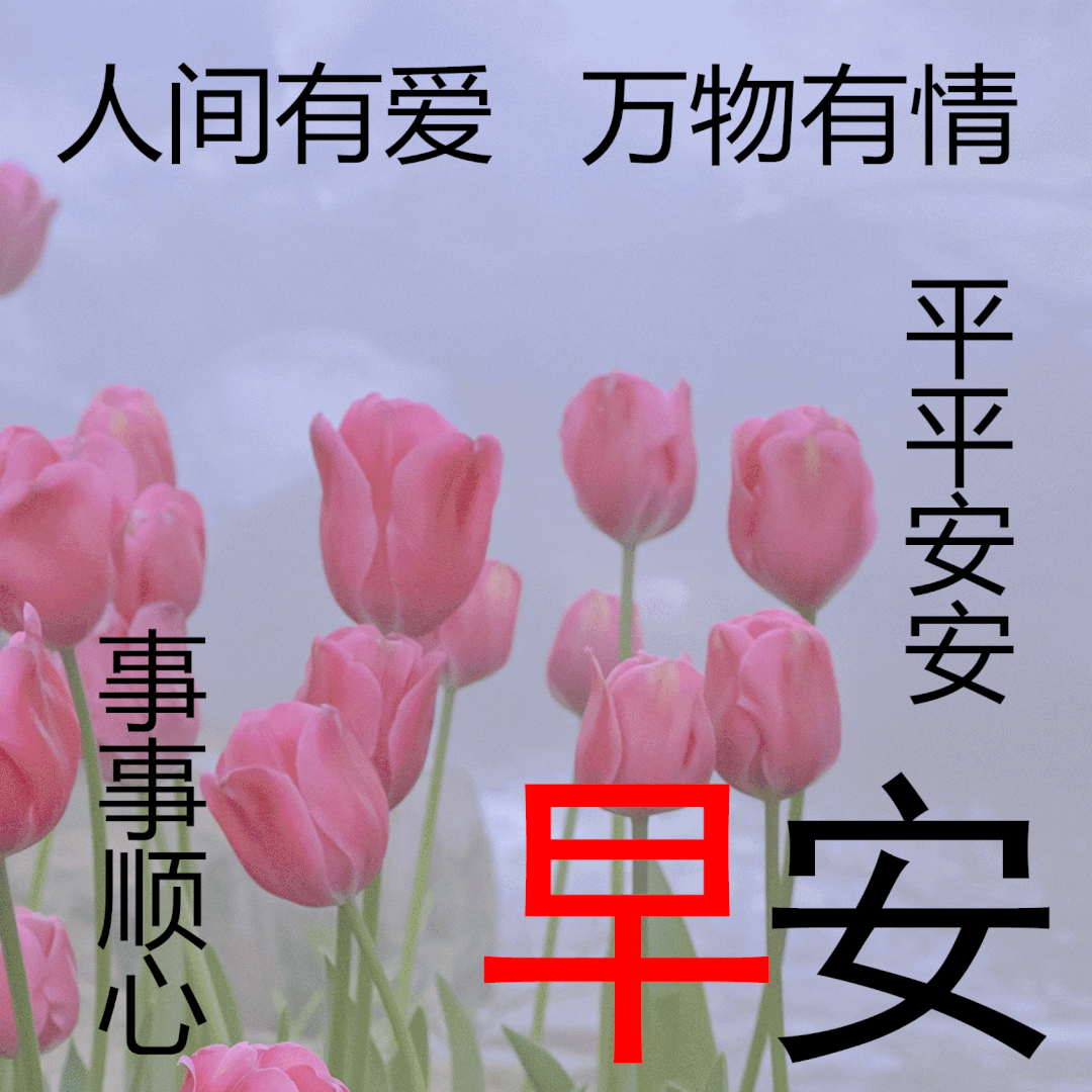 唯美夏天早安问候祝福,周五最新好看的夏天早上好图片,祝你心想事成