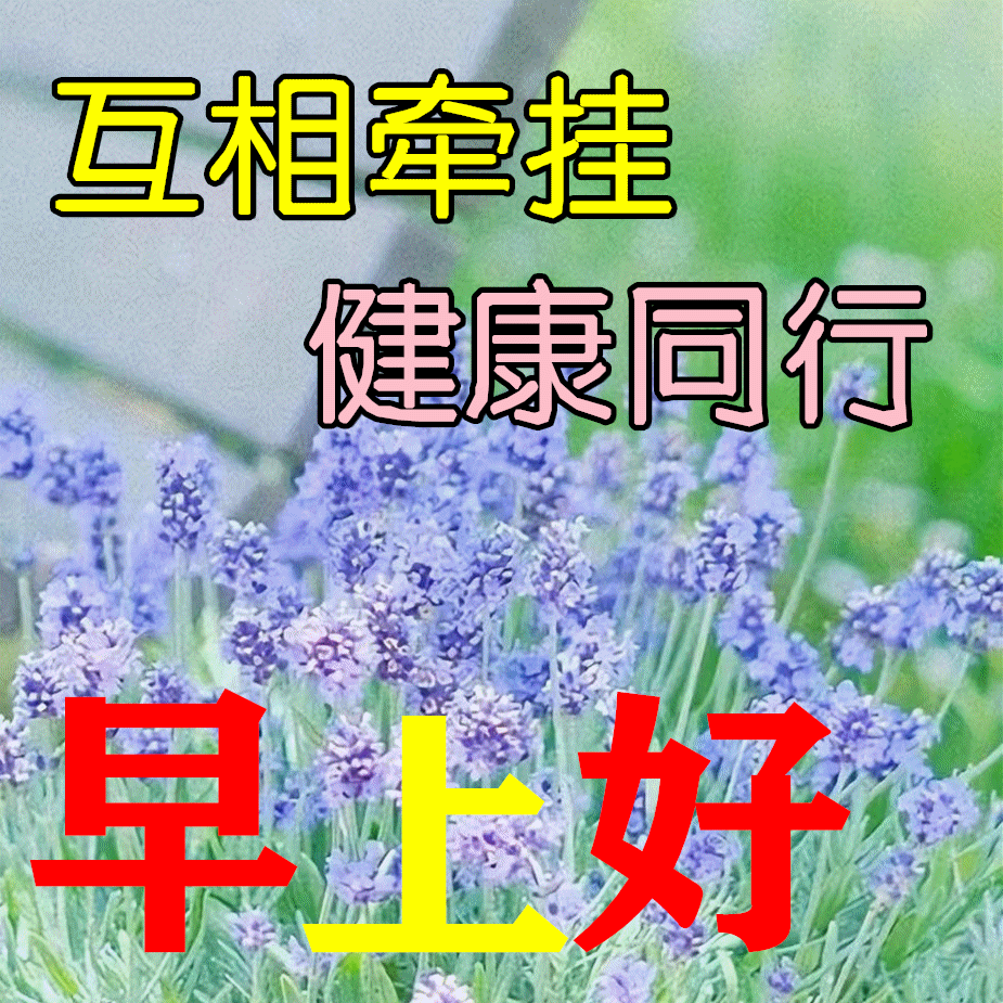 超漂亮的早上好问候短信美图,新版温馨问候大家早安漂亮图片