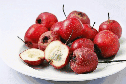 一颗小山楂竟然有这么多的好处