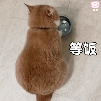 都这么爱叫他大师兄真的不是内娱缺德文学吗