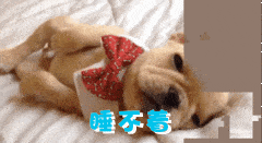 这些解救"失眠星人"的好物,快收藏起来!