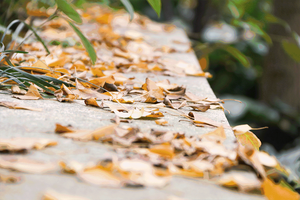 1000_667gif 动态图 动图