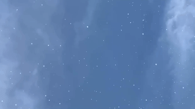 深圳天空"飘雪"?过敏体质人群要远离