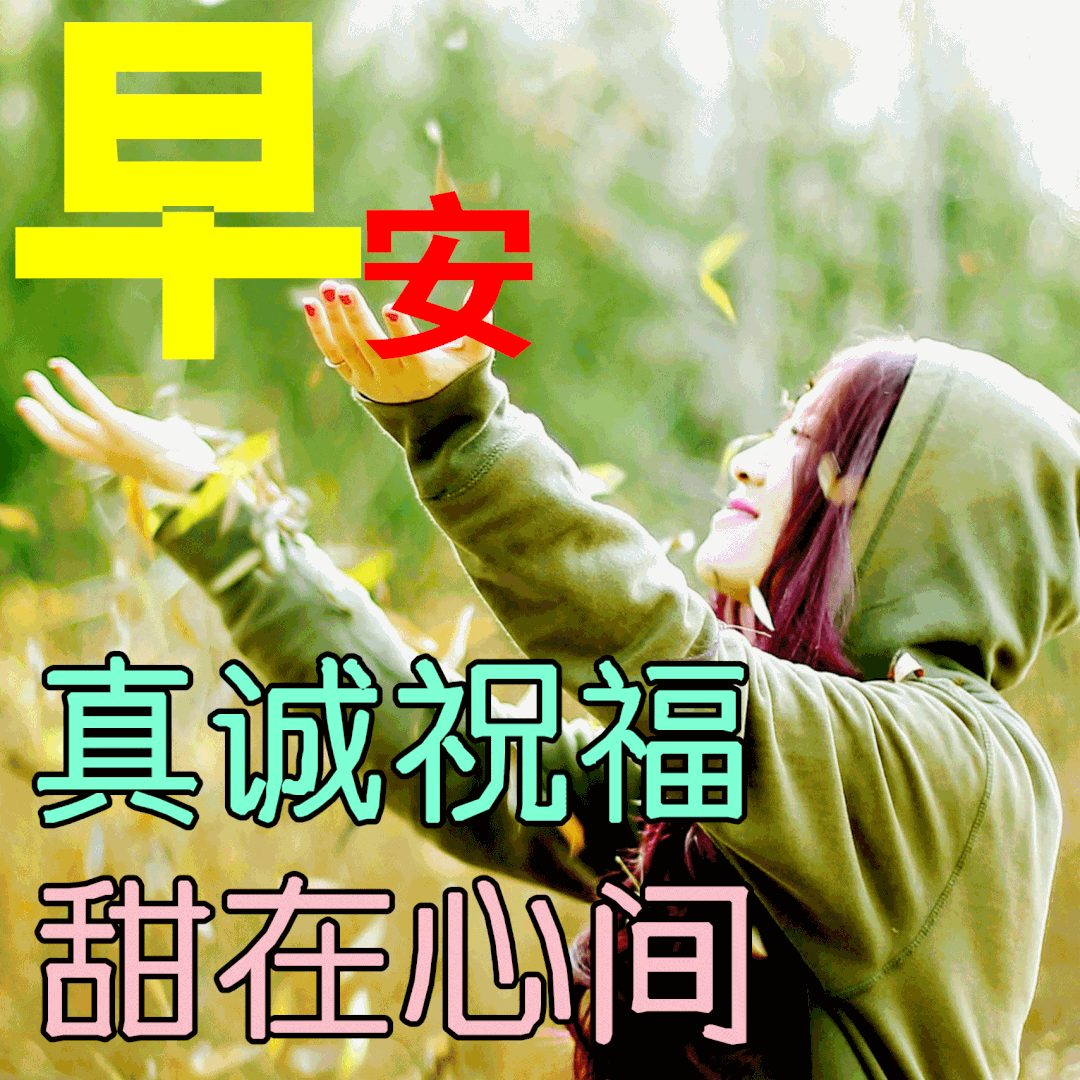 早上好!