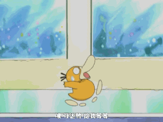 可达鸭:总有地面上的鸭鸭,敢于直面人类的调戏